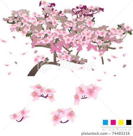 Sakuragi-Color 74483216