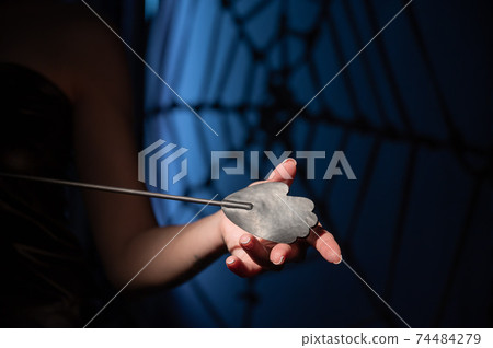 An unrecognizable woman demonstrates an elegant thin leather strip whip in a dark bedroom. Close-up of female hands with a bdsm toy. Pain and pleasure.Adult toy for slaps. An unrecognizable woman demonstrates an elegant thin leather strip whip in a dark bedroom. Close-up of female hands with a bdsm toy. Pain and pleasure.Adult toy for slaps. 74484279