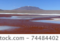 Superb view of the Atacama Desert Laguna Colorada and Flamingo 74484402