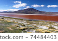 Laguna Colorada, a colorful lake in the Atacama Desert 74484403