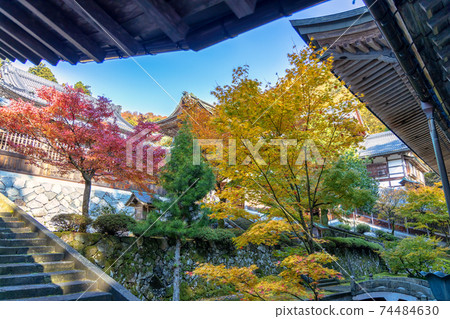 永平寺（11月，秋天，晴天） 74484630