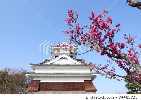 日本城堡盛開 日本城堡盛開 74485723