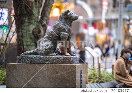 Tokyo cityscape of Japan Declaration of emergency tomorrow decision. Most infected with 1591 people. Hachiko of sadness ... = January 6, Shibuya Tokyo cityscape of Japan Declaration of emergency tomorrow decision. Most infected with 1591 people. Hachiko of sadness ... = January 6, Shibuya 74485977