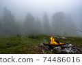 Fire in foggy wood 74486016