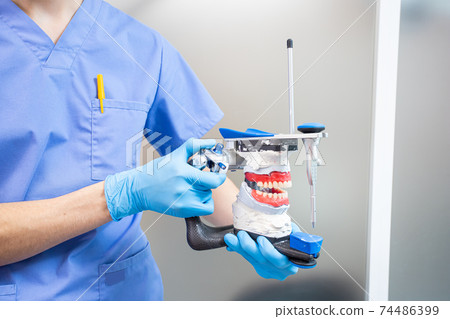 The dentist holds a dental articulator in his hands for the correct bite. The dentist holds a dental articulator in his hands for the correct bite. 74486399