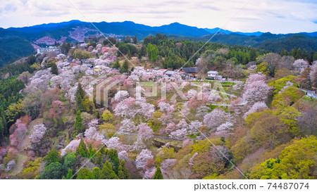 奈良縣吉野山市的世界遺產千本櫻,用無人機從空中拍攝 奈良縣吉野山市的世界遺產千本櫻,用無人機從空中拍攝 74487074