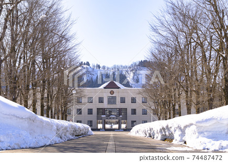 Graduate University (International University of Japan) 74487472