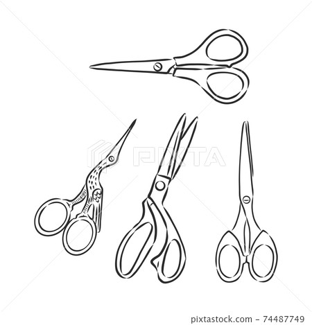 Doodle style scissors illustration. scissors, vector sketch illustration Doodle style scissors illustration. scissors, vector sketch illustration 74487749