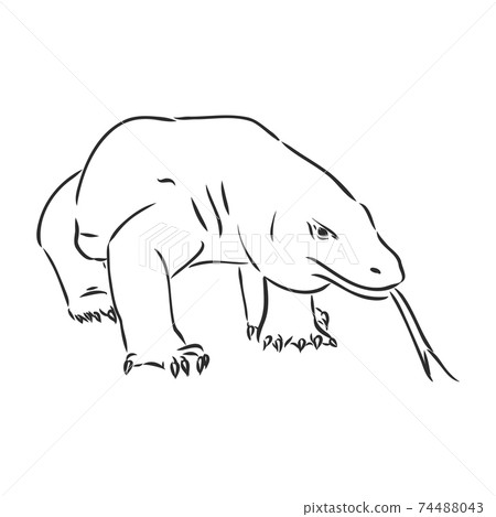 hand drawn, sketch illustration of Komodo dragon. varan vector sketch illustration 74488043