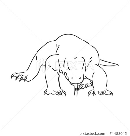 hand drawn, sketch illustration of Komodo dragon. varan vector sketch illustration hand drawn, sketch illustration of Komodo dragon. varan vector sketch illustration 74488045