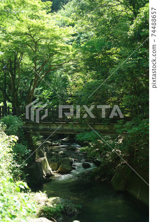 oh面Min的風景/鮮綠色的瀑布路 74488657