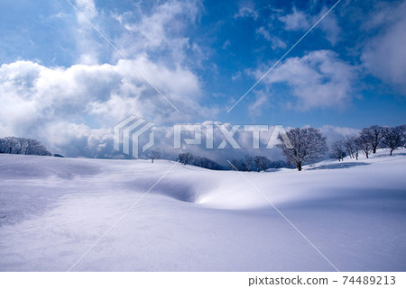 Snowy mountain tableland superb view 74489213