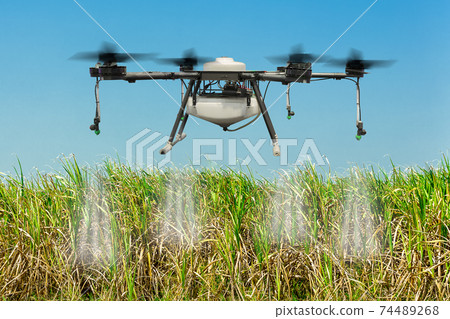 Agriculture drone flying and spray pesticide in sugarcane field. Agriculture drone flying and spray pesticide in sugarcane field. 74489268
