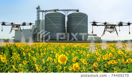 Agriculture drone flying on the green sunfllower fields with Agricultural Silos in the background. Agriculture drone flying on the green sunfllower fields with Agricultural Silos in the background. 74489270