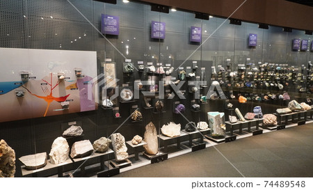 Fukui prefectural dinosaur museum 74489548