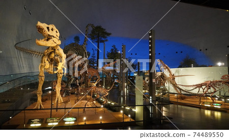 Fukui prefectural dinosaur museum 74489550