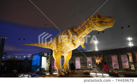 Fukui prefectural dinosaur museum 74489679