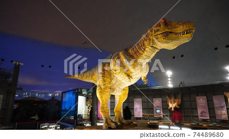 Fukui prefectural dinosaur museum 74489680