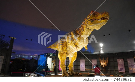 Fukui prefectural dinosaur museum Fukui prefectural dinosaur museum 74489681