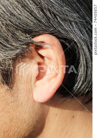 ear 74489857