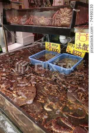 Hakodate Morning Market Hakodate Sightseeing King Crab Live King Crab Live King Crab Hakodate Morning Market Hakodate Sightseeing King Crab Live King Crab Live King Crab 74490130