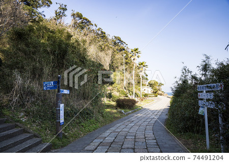 Scenic spot on the Shonan Miura Peninsula Winter in Kannonzaki Park, Yokosuka City, Kanagawa Prefecture 74491204