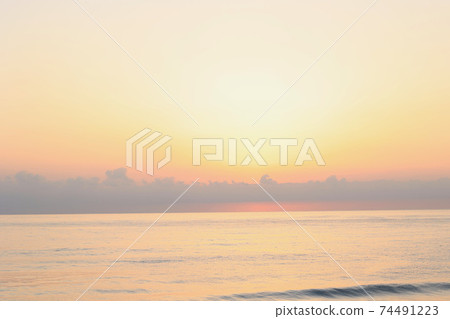 向日葵天空茨城縣日立市 向日葵天空茨城縣日立市 74491223