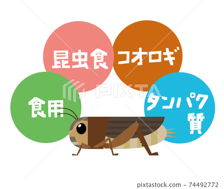 Illustration of edible crickets 74492772