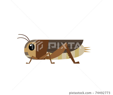 Illustration of edible crickets 74492773