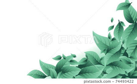 nature background with many leaves and text space 74493422