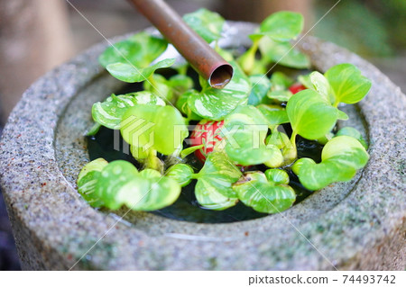 神社2號水 神社2號水 74493742