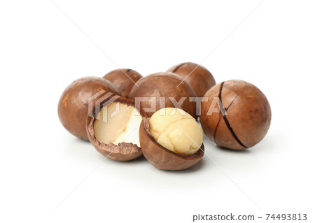 Tasty macadamia nuts isolated on white background Tasty macadamia nuts isolated on white background 74493813