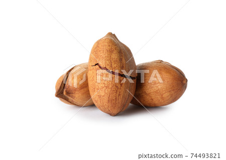 Tasty pecan nuts isolated on white background Tasty pecan nuts isolated on white background 74493821