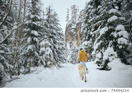 Rear view of man with dog in winter nature 74494214