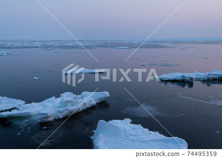 Drift ice field at dusk 74495359