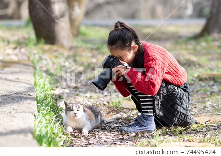 A girl taking a picture of a cat A girl taking a picture of a cat 74495424