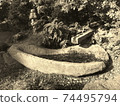 Showa landscape 74495794