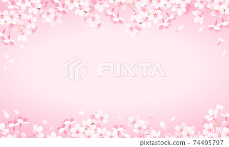 Pink background cherry blossom frame wallpaper vector illustration Pink background cherry blossom frame wallpaper vector illustration 74495797