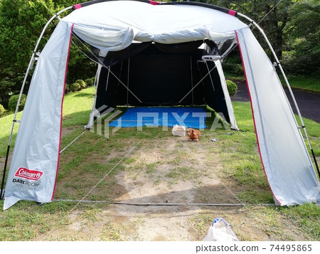 A dog waiting in a tool room tent while cleaning up 74495865