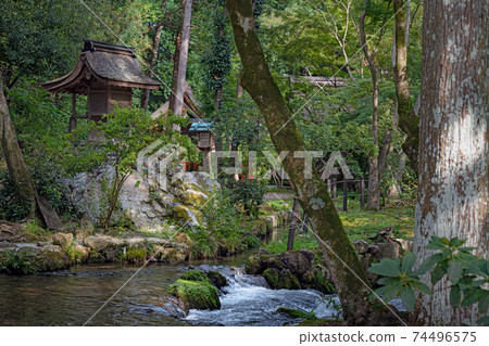 Scenery of the precincts of Kamigamo Shrine in Kyoto Scenery of the precincts of Kamigamo Shrine in Kyoto 74496575