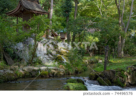 Scenery of the precincts of Kamigamo Shrine in Kyoto 74496576