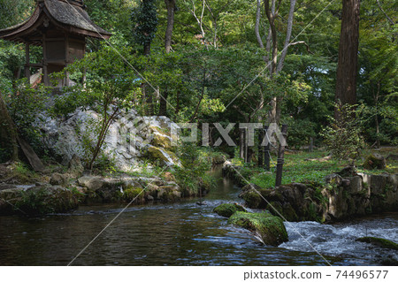 Scenery of the precincts of Kamigamo Shrine in Kyoto Scenery of the precincts of Kamigamo Shrine in Kyoto 74496577