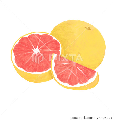 彩色的鉛筆風格葡萄柚圖 彩色的鉛筆風格葡萄柚圖 74496993