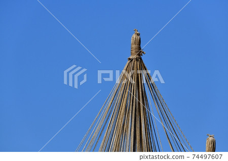 Yukitsuri in the blue sky 74497607