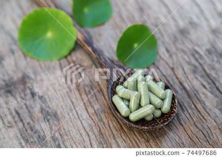 herbal medicine incapsule from organic herb for healthy eating herbal medicine incapsule from organic herb for healthy eating 74497686