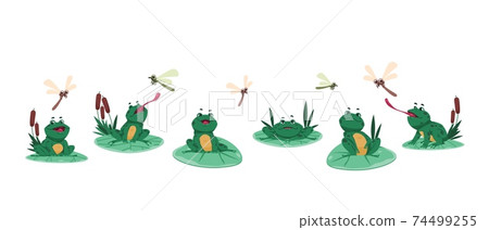 Frog poses. Cartoon green aquatic animal sitting on water lily leaves, funny froglet hunting and catching dragonfly with tongue. Isolated amphibious eating insects, vector natural set 74499255
