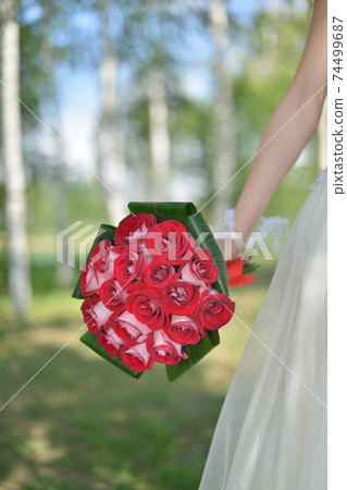 nice wedding bouquet in bride's hand nice wedding bouquet in bride's hand 74499687