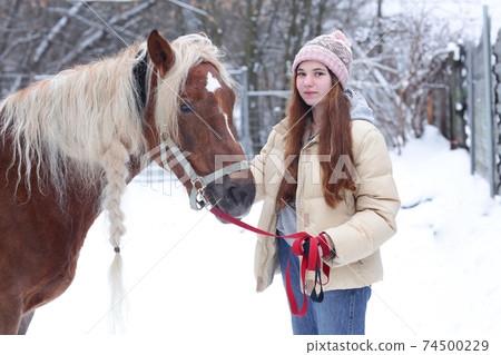 girl with long brown hair and chestnut horse with plaited mane close up portrait on winter snowy background girl with long brown hair and chestnut horse with plaited mane close up portrait on winter snowy background 74500229