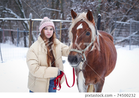 girl with long brown hair and chestnut horse with plaited mane close up portrait on winter snowy background 74500232