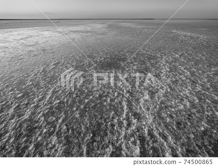 Grayscale. Sunset on the Genichesk pink extremely salty lake (colored by microalgae with crystalline salt depositions), Ukraine. 74500865